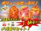 【送料無料】ホルモン屋店長オススメ!メガ盛りホルモンセット1.6kg入り