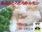 国産牛あぶらホルモン 300g