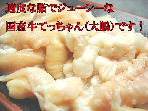 国産牛テッチャン(みそ味)200g | 日本全国各地のお取り寄せモール風土jp