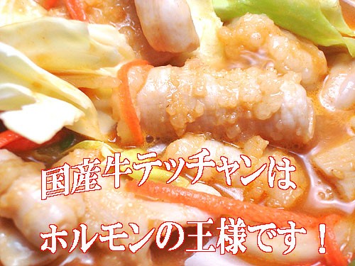 国産牛テッチャン(みそ味)200g | 日本全国各地のお取り寄せモール風土jp
