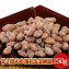 小粒(四等)味付250g千葉県産落花生