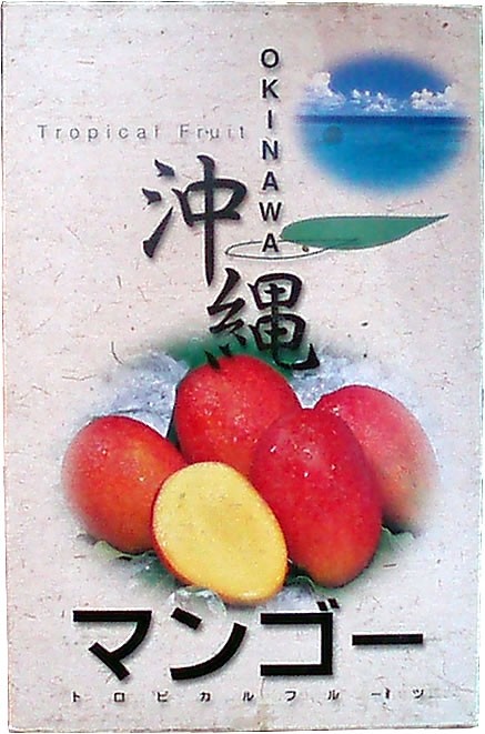 アップルマンゴー　3玉入 画像 | 日本全国各地の名産品やお土産のお取り寄せモール 風土jp
