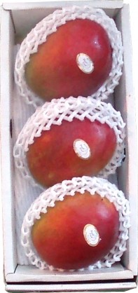 アップルマンゴー　3玉入 画像 | 日本全国各地の名産品やお土産のお取り寄せモール 風土jp