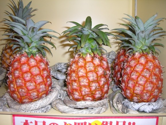 �ԡ����ѥ��󣱶� ���� | ����������ϤΤ����󤻥⡼������jp