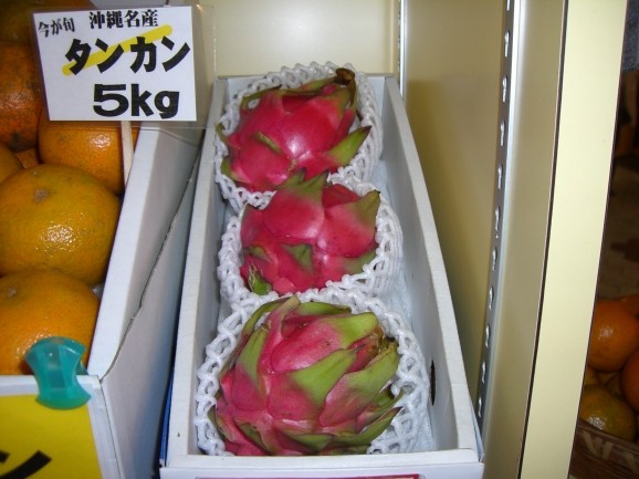 ドラゴンフルーツ3玉入 画像 | 日本全国各地の名産品やお土産のお取り寄せモール 風土jp