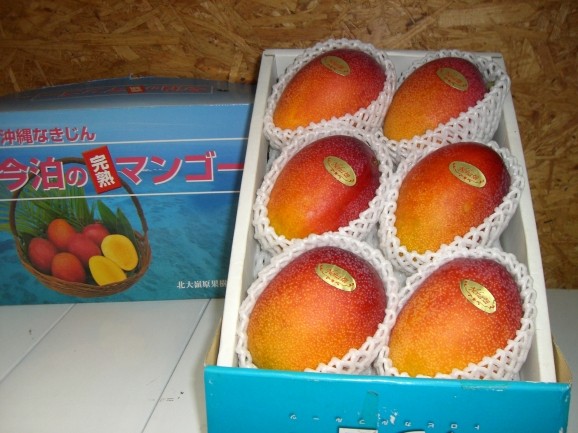高級ブランド・今帰仁産マンゴー【秀品】約2kg 日本全国各地のお
