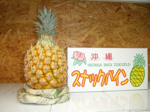 ʥåѥ̡1kg  | ϤΤ󤻥⡼jp