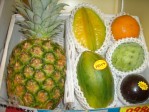 �ѥ��󥮥եȥ��åȡ������������ǥ����ף�