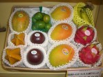 �����ȥ��ԥ���ե롼�������ꥻ�åȡ�2010ǯ���ǥ����ף�