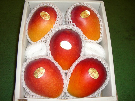 AA�֥��ɥޥ󥴡������� ���� | ����������ϤΤ����󤻥⡼������jp