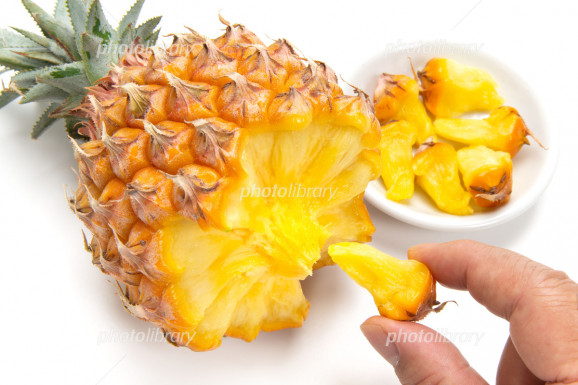 �Ƥο͵���5�����åȡʥޥ󥴡���3�̡����ʥå��ѥ��󡦥ɥ饴��ե롼�ġ� ���� | ����������ϤΤ����󤻥⡼������jp