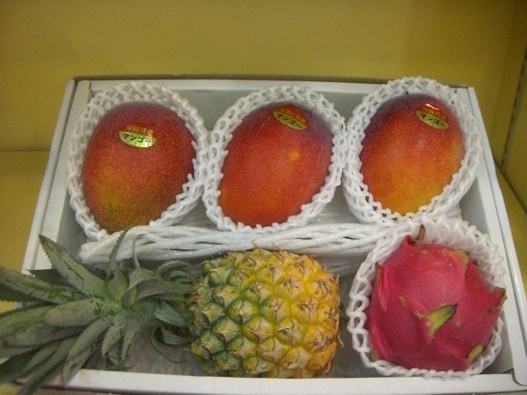 �Ƥο͵���5�����åȡʥޥ󥴡���3�̡����ʥå��ѥ��󡦥ɥ饴��ե롼�ġ� ���� | ����������ϤΤ����󤻥⡼������jp