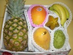 �ѥ��󥮥եȥ��åȡ������������ǥ����ף�