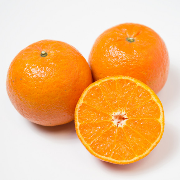 �ѥ��󤪼�ڤ��ڻ����å� ���� | ����������ϤΤ����󤻥⡼������jp