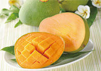 �ѥ���������ĥޥ󥴡� ���� | ����������ϤΤ����󤻥⡼������jp