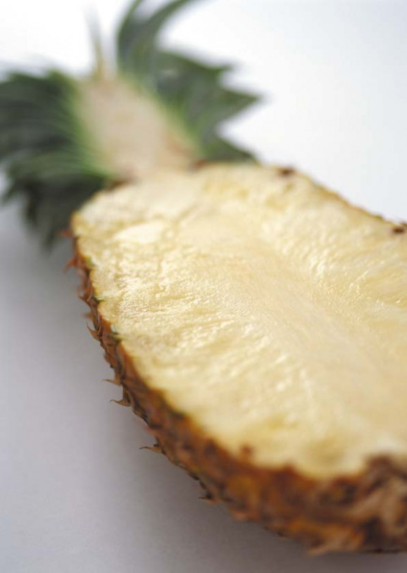 �ѥ���������ĥޥ󥴡� ���� | ����������ϤΤ����󤻥⡼������jp