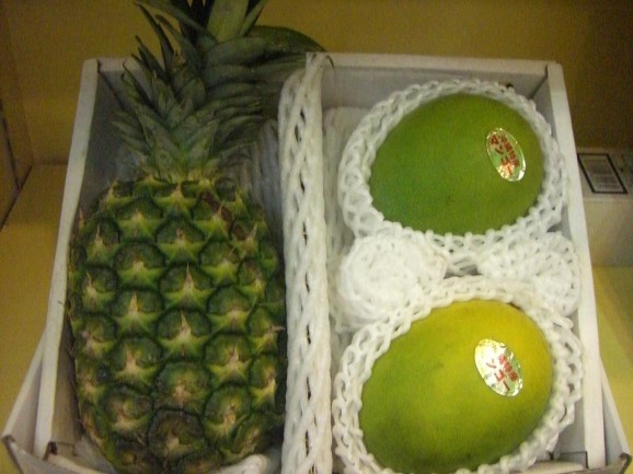 �ѥ���������ĥޥ󥴡� ���� | ����������ϤΤ����󤻥⡼������jp