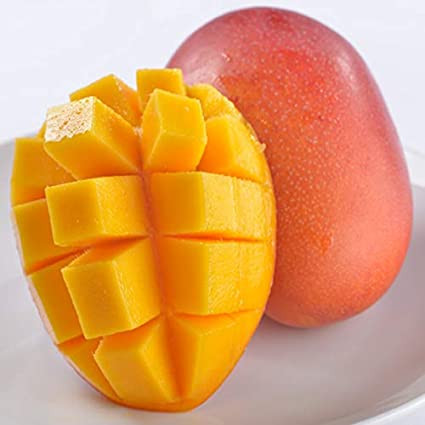 �����ȥ��ԥ��룵�����åȭ����� ���� | ����������ϤΤ����󤻥⡼������jp