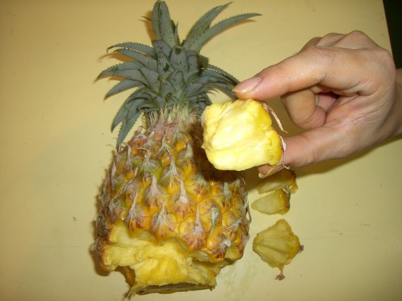 スナックパイン大玉ギフト用1玉化粧箱入・10箱送料込み特別価格 画像 | 日本全国各地のお取り寄せモール風土jp