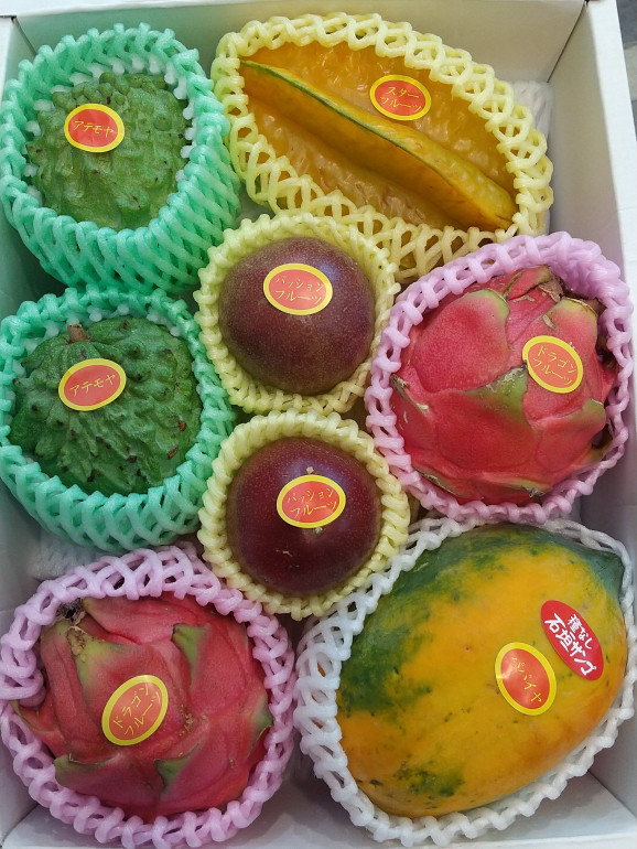 トロピカル8点・冬セット 画像 | 日本全国各地のお取り寄せモール風土jp