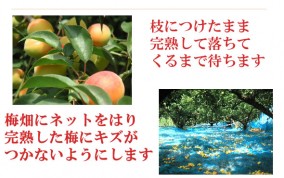 �������Ϥ��ߤľ��ߴ���120g�� | ����������ϤΤ����󤻥⡼������jp