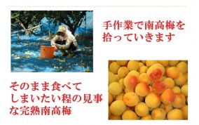 �������Ϥ��ߤľ��ߴ���120g�� | ����������ϤΤ����󤻥⡼������jp