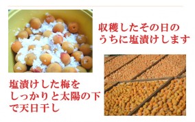 �������Ϥ��ߤľ��ߴ���120g�� | ����������ϤΤ����󤻥⡼������jp