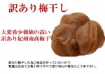 �����²λ�����������ߤ��������ߴ���