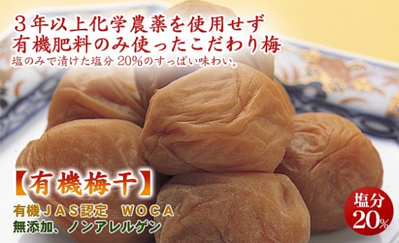 ͭ���ʣ���ǧ�ꡡ�²λ�������ͭ���ߴ���120��� ���� | ����������ϤΤ����󤻥⡼������jp