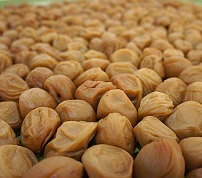 国産(和歌山県産) 甘口 種抜き干し梅 個包装有 30g | 日本全国各地のお取り寄せモール風土jp