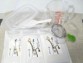 簡単手作りキットと特選レシピ付き☆国内産本わらび粉10割使用わらび餅用 簡単手作りわらび粉 約2人前(80g)×3袋 計約6人前 国内産極上きな粉 6g入×3パック付