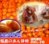 福島県産あんぽ柿お試しセット【送料無料】