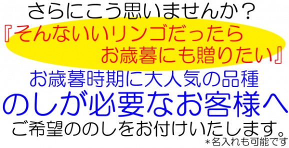 ʡ縩إդ١1kgȢ(35)˿͵Ǥȯ11ܺ12ܺޤͽ | ϤΤ󤻥⡼jp