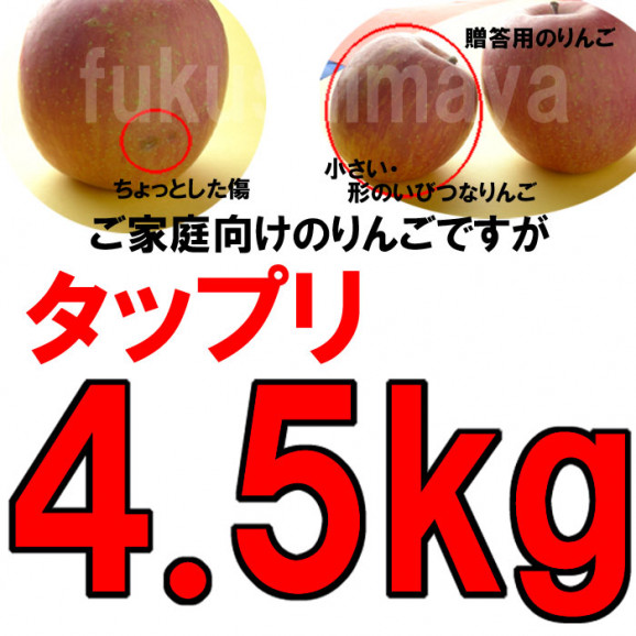 【訳あり】激安プレミアムアウトレット、サンふじりんご(4.5kg 9〜25玉入)【発送時期:11月下旬〜3月下旬頃まで予定】 | 日本全国各地のお取り寄せモール風土jp