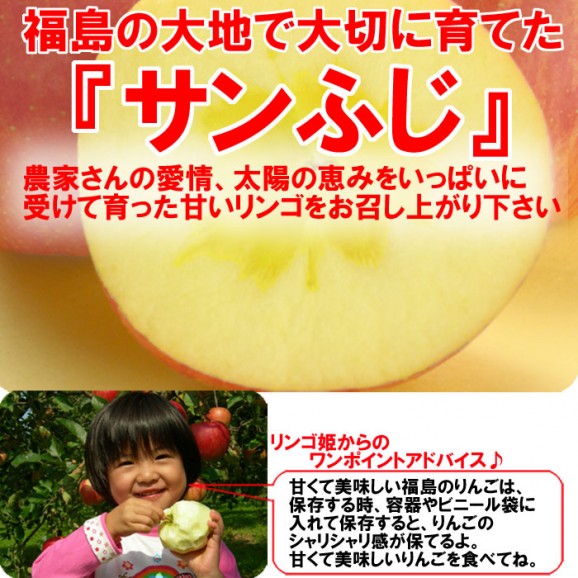 【訳あり】激安プレミアムアウトレット、サンふじりんご(4.5kg 9〜25玉入)【発送時期:11月下旬〜3月下旬頃まで予定】 | 日本全国各地のお取り寄せモール風土jp