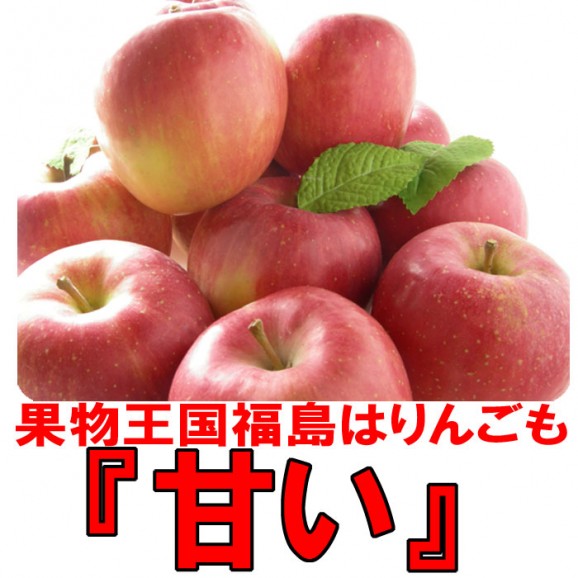 【訳あり】激安プレミアムアウトレット、サンふじりんご(4.5kg 9〜25玉入)【発送時期:11月下旬〜3月下旬頃まで予定】 | 日本全国各地のお取り寄せモール風土jp
