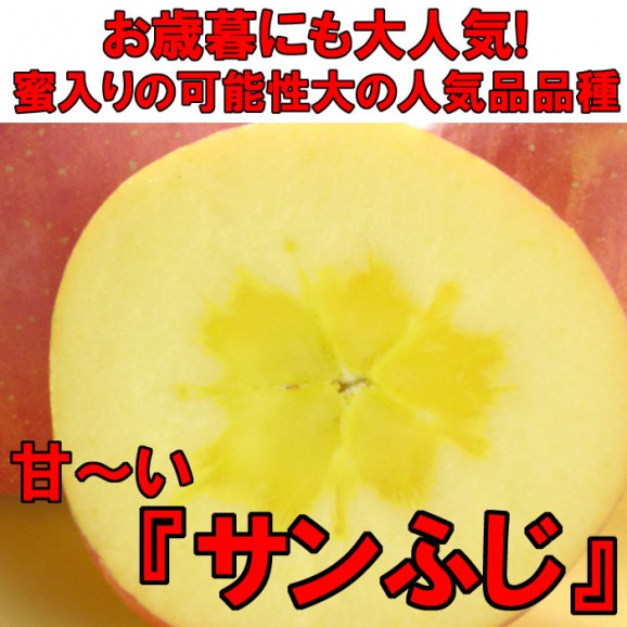 【訳あり】激安プレミアムアウトレット、サンふじりんご(4.5kg 9〜25玉入)【発送時期:11月下旬〜3月下旬頃まで予定】 | 日本全国各地のお取り寄せモール風土jp