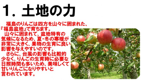 【訳あり】激安プレミアムアウトレット、サンふじりんご(4.5kg 9〜25玉入)【発送時期:11月下旬〜3月下旬頃まで予定】 | 日本全国各地のお取り寄せモール風土jp
