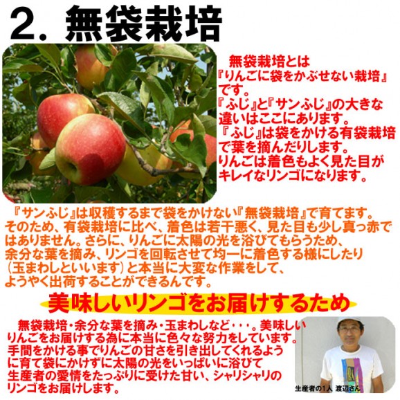 【訳あり】激安プレミアムアウトレット、サンふじりんご(4.5kg 9〜25玉入)【発送時期:11月下旬〜3月下旬頃まで予定】 | 日本全国各地のお取り寄せモール風土jp