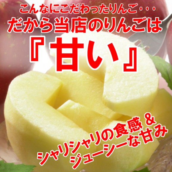 【訳あり】激安プレミアムアウトレット、サンふじりんご(4.5kg 9〜25玉入)【発送時期:11月下旬〜3月下旬頃まで予定】 | 日本全国各地のお取り寄せモール風土jp