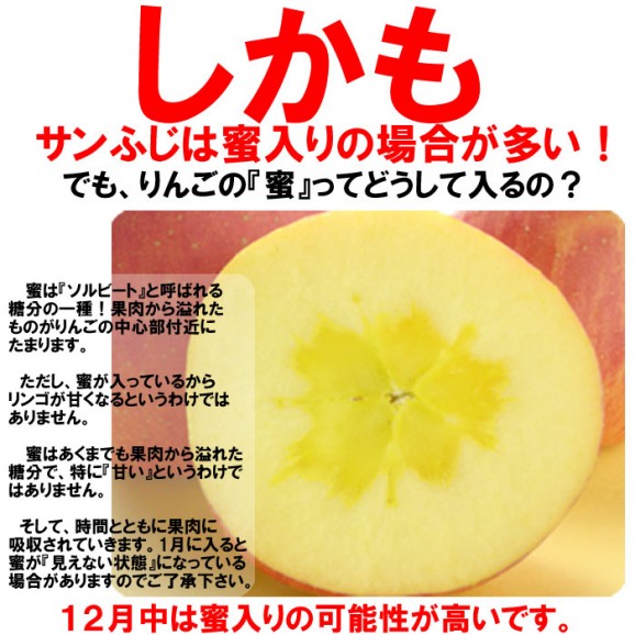 【訳あり】激安プレミアムアウトレット、サンふじりんご(4.5kg 9〜25玉入)【発送時期:11月下旬〜3月下旬頃まで予定】 | 日本全国各地のお取り寄せモール風土jp