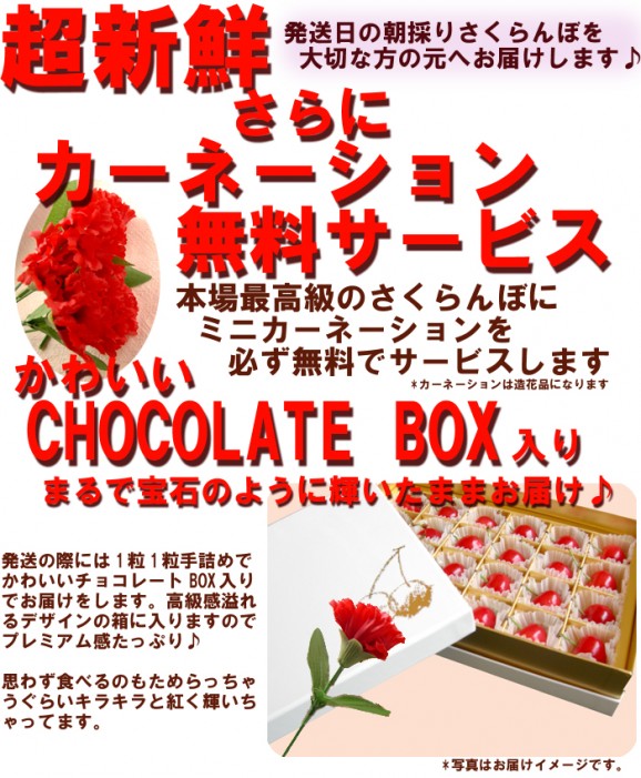 【送料無料】さくらんぼ王国、山形産『佐藤錦 L 24粒入』(造花ミニカーネーション付)。かわいい母の日チョコレートBOX入 | 日本全国各地のお取り寄せモール風土jp