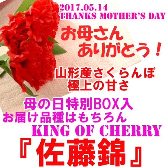 【送料無料】さくらんぼ王国、山形産『佐藤錦 100g×2特製ダイヤパック入』(造花ミニカーネーション付)。母の日到着便 | 日本全国各地の名産品やお土産のお取り寄せモール 風土jp