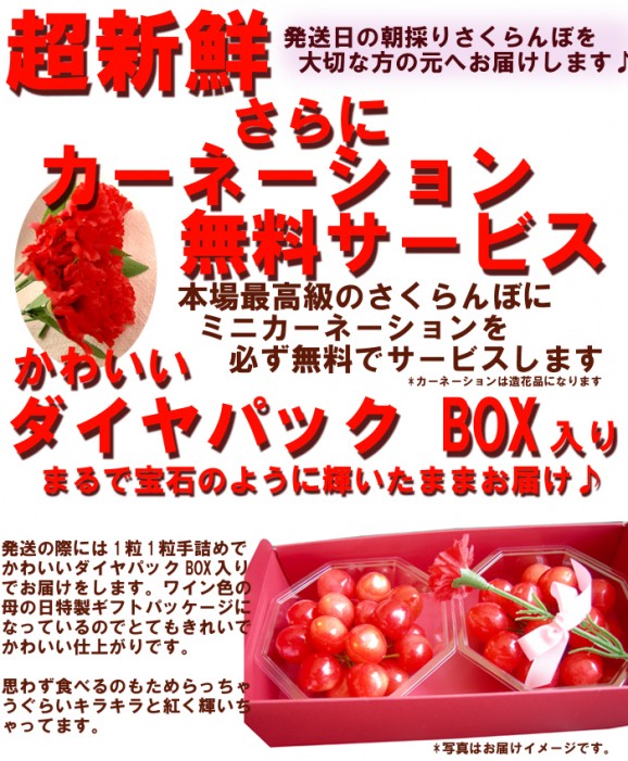 【送料無料】さくらんぼ王国、山形産『佐藤錦 100g×2特製ダイヤパック入』(造花ミニカーネーション付)。母の日到着便 | 日本全国各地の名産品やお土産のお取り寄せモール 風土jp