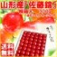 【送料無料】さくらんぼ王国、山形産『佐藤錦 300g超リッチ桐箱入』(造花ミニカーネーション付)。