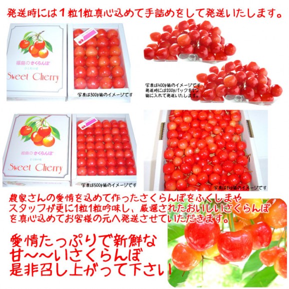 【送料無料】さくらんぼ(佐藤錦)400g、贈答向け手詰め200g×2パック入 【発送時期:6月中頃〜7月上旬頃まで予定】 | 日本全国各地のお取り寄せモール風土jp