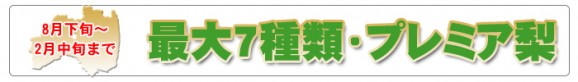 福島県産かやば梨(豊水)1kg箱(4〜5玉入) | 日本全国各地のお取り寄せモール風土jp