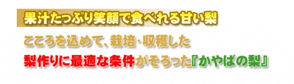福島県産かやば梨(豊水)1kg箱(4〜5玉入) | 日本全国各地のお取り寄せモール風土jp