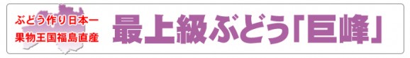 【福島県産】種なし巨峰 送料無料(お試し2房) | 日本全国各地のお取り寄せモール風土jp