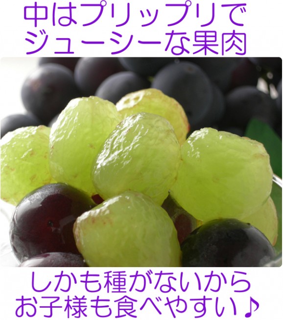 【福島県産】種なし巨峰 送料無料(お試し2房) | 日本全国各地のお取り寄せモール風土jp